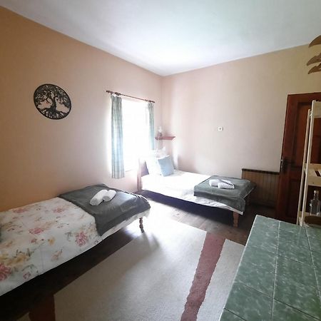 Ferienwohnung Stara Hisa Log Cezsoski Exterior foto
